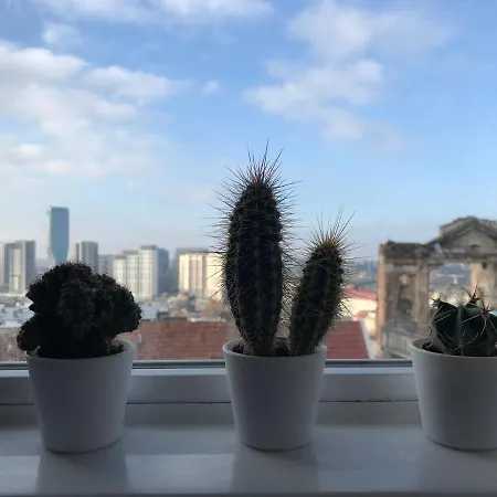 Centrum * בלגרד